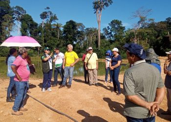 Piscicultores de Santo Antônio do Matupi são capacitados pelo Idam para produção de peixes