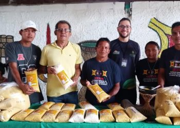 Idam desenvolve plantio de mandioca e produção de farinha junto a comunidades indígenas de São Gabriel da Cachoeira