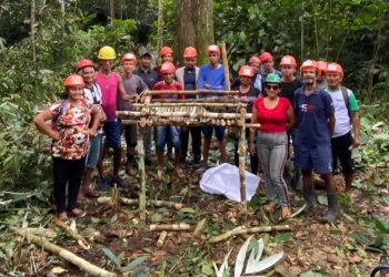 Em Manicoré, Idam incentiva boas práticas no manejo do açaí nativo e da castanha-do-Brasil