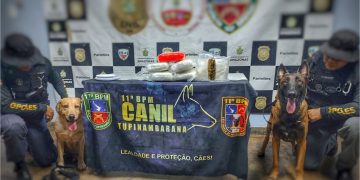 Em Parintins, Polícia Militar do Amazonas prende duas mulheres com seis tabletes de maconha
