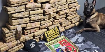 Base Arpão 2: PMAM apreende mais de 70 quilos de drogas escondidas em tubos de PVC e latas