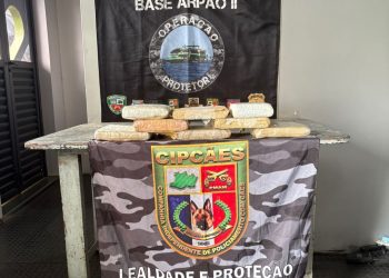 Base Arpão 2: PMAM apreende mais de oito quilos de drogas e prende homem por tráfico, em Coari