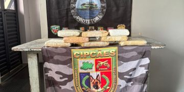 Base Arpão 2: PMAM apreende mais de oito quilos de drogas e prende homem por tráfico, em Coari