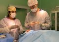 Dia Global de Conscientização sobre o Câncer de Pele Não Melanoma reforça importância da prevenção e do diagnóstico precoce